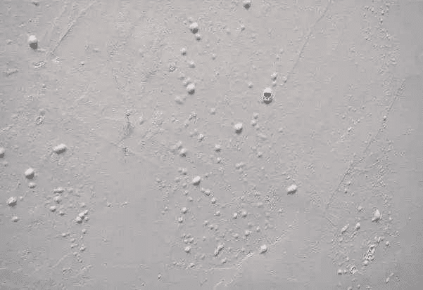 膩?zhàn)臃巯輨?></a>
			</li>
            
			<li id=